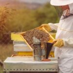 vcelarske-vybaveni-2P